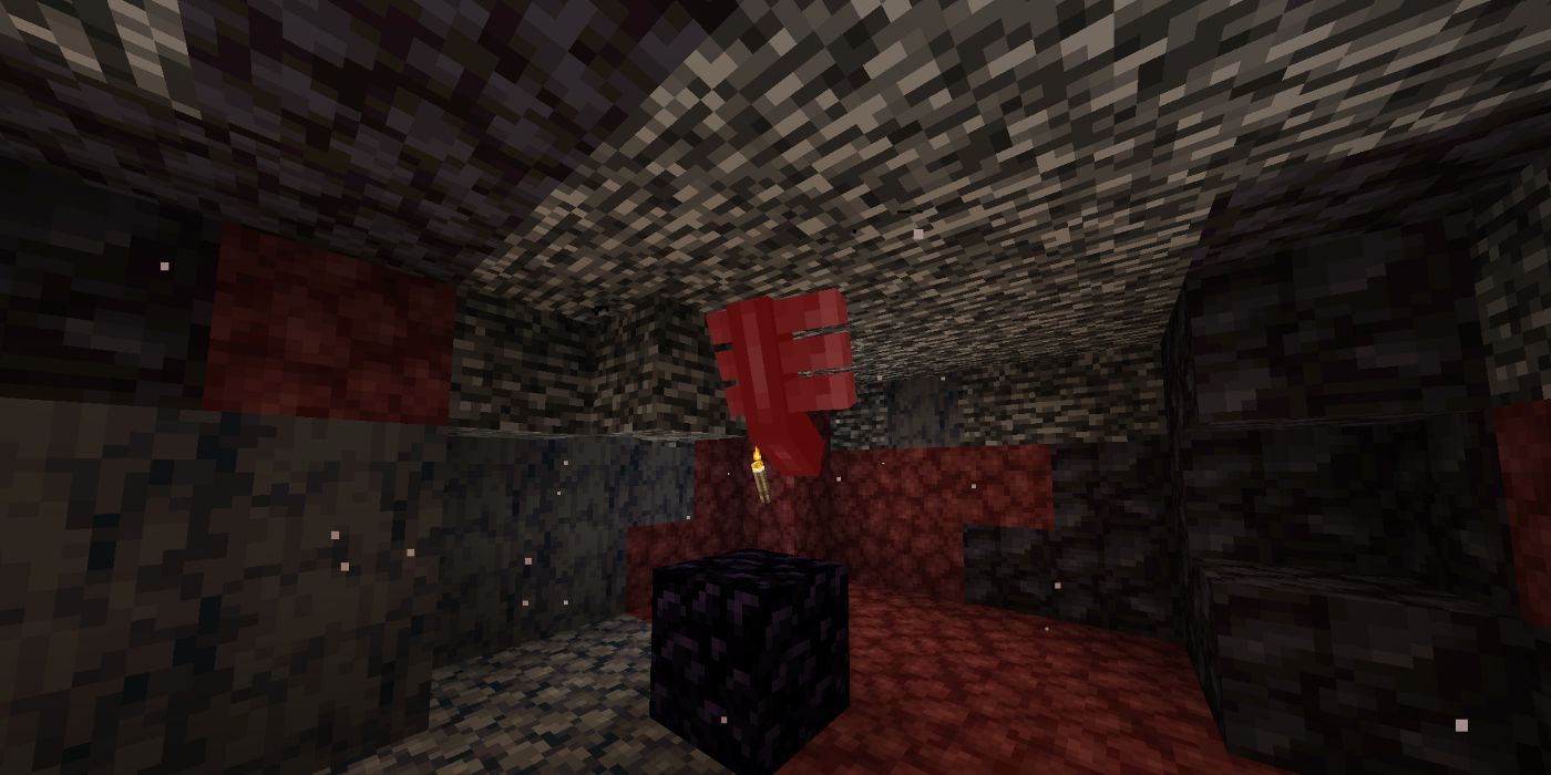 Minecraft the wither summoned in the nether roof