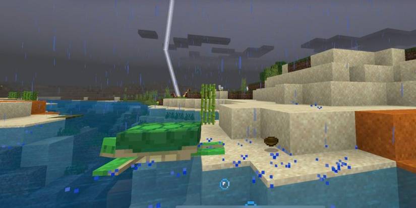 Minecraft Exploding Turtle Minecraft: Everything You Need To Know About Turtles