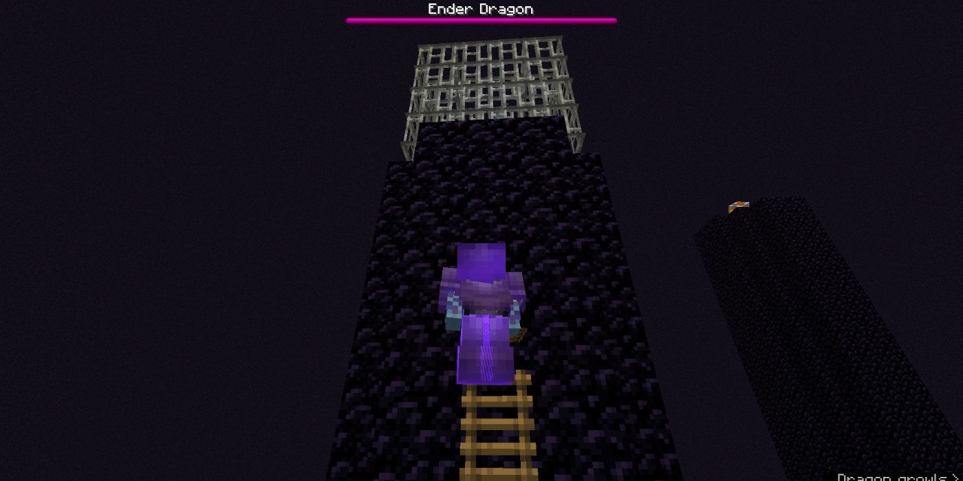 Minecraft using ladder to climb up to the end crystal