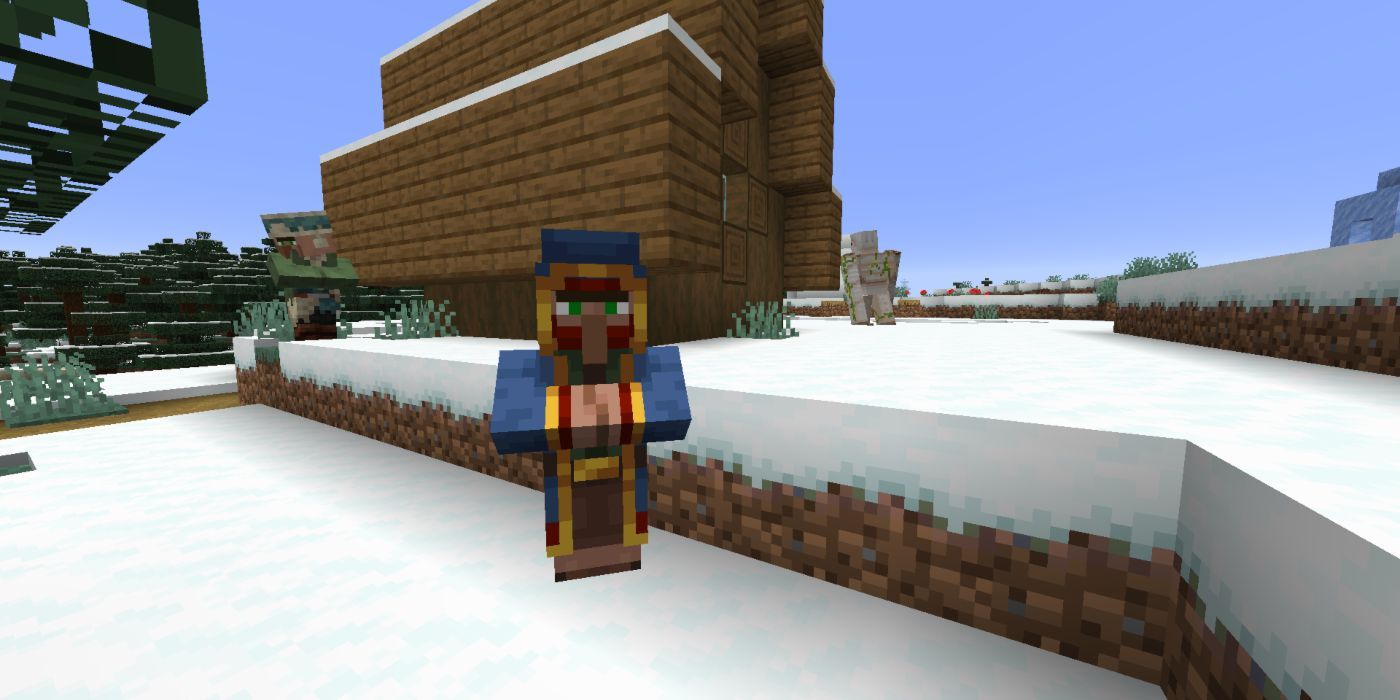 Minecraftt Wandering Trader In A Village