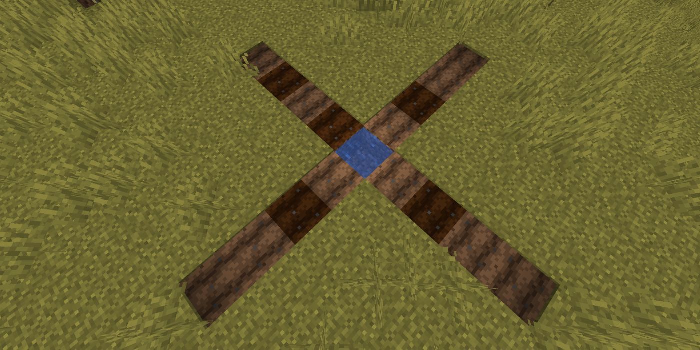 Minecraft water block with lines of farmland