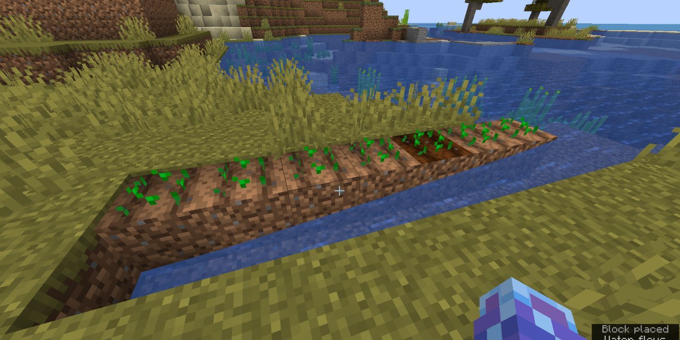 Minecraft water trench farm by the beach