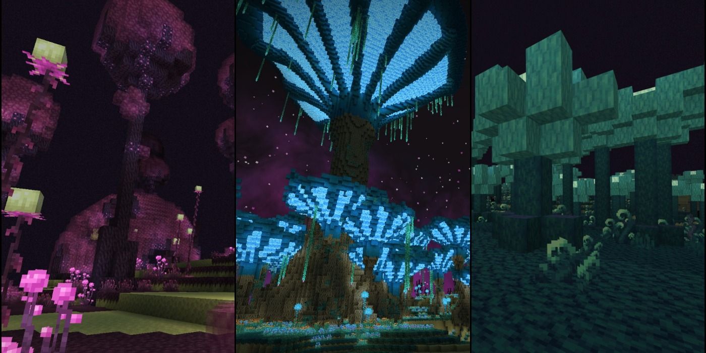 Minecraft End Update, New Biomes