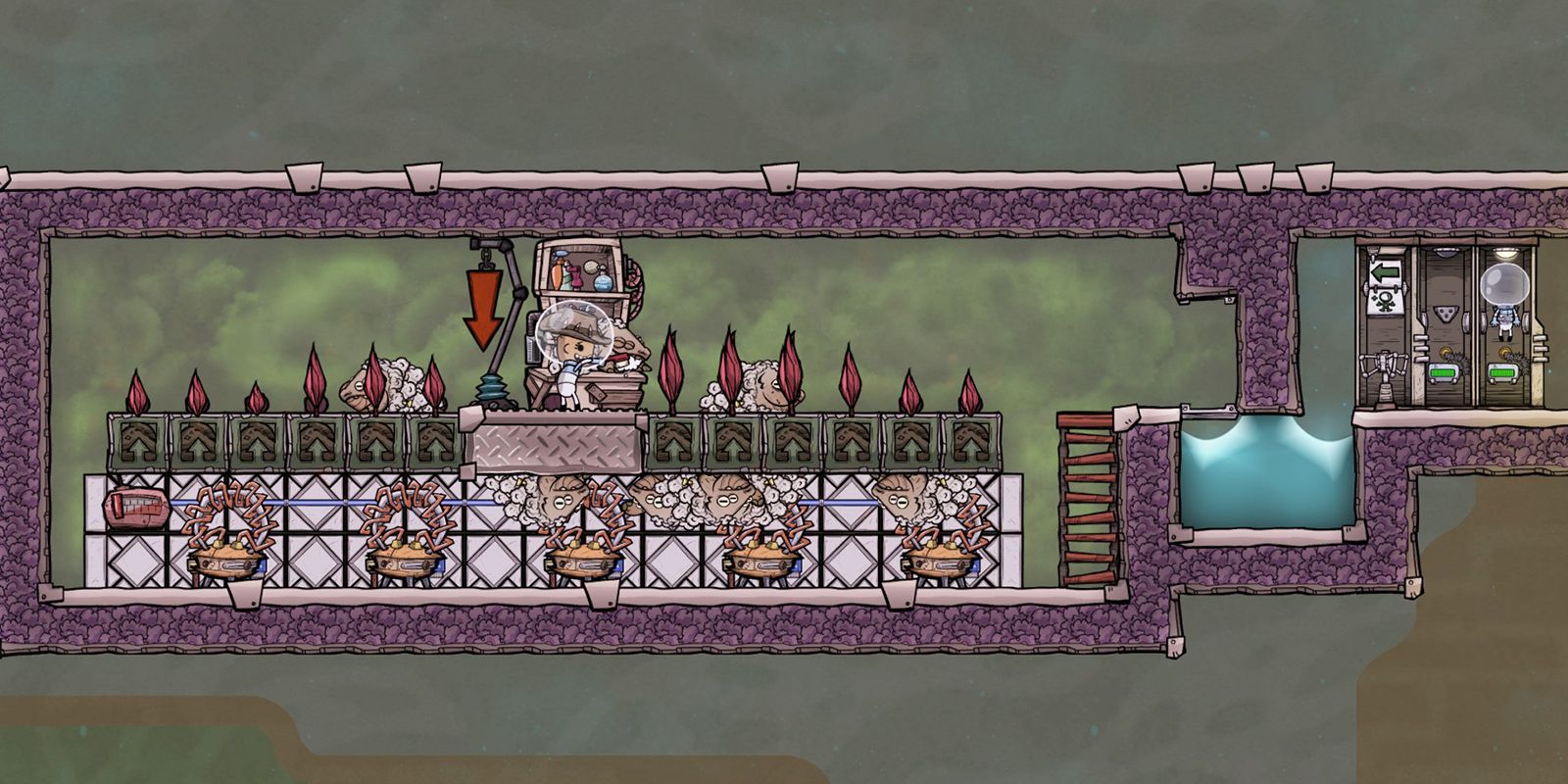 oxygen not included hydroponic farm