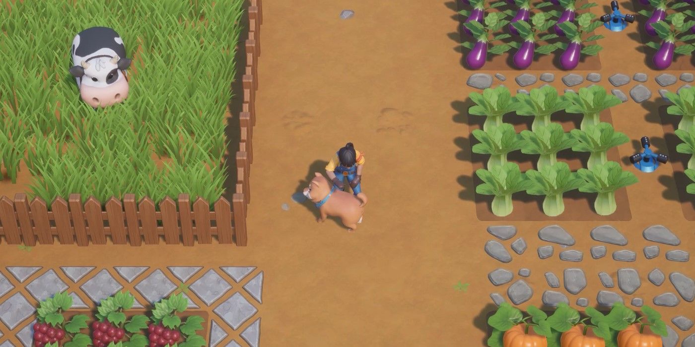 Finest Farming Sim Video games For Learners