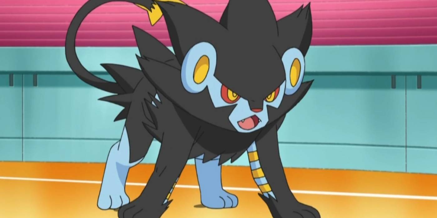 10 Pokemon Sasuke Would Want On His Pokemon Team 10 Pokemon Sasuke Would Want On His Pokemon Team