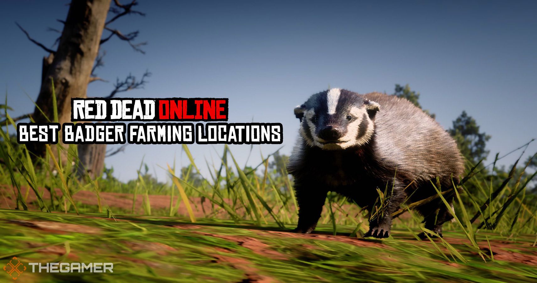 Red Dead Online Best Badger Farming Locations