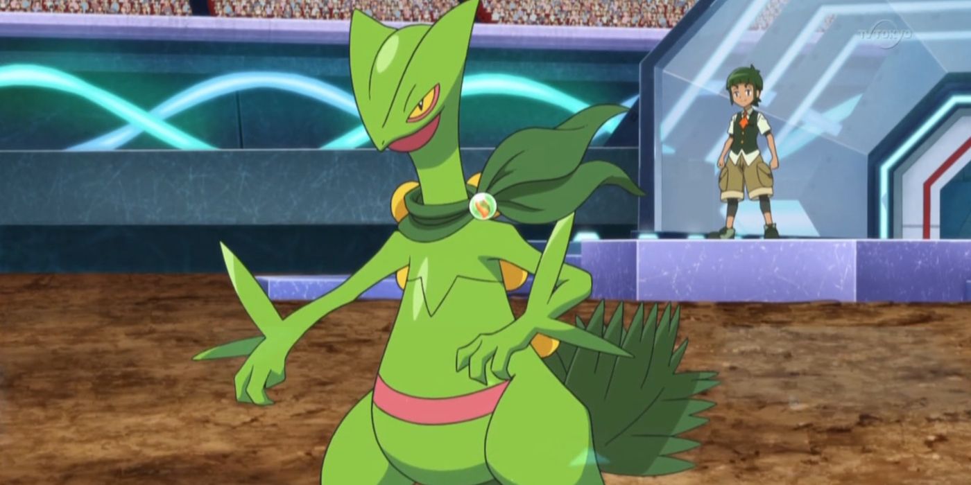 Sawyer's Mega Sceptile ready for battle in the XY Anime Kalos League