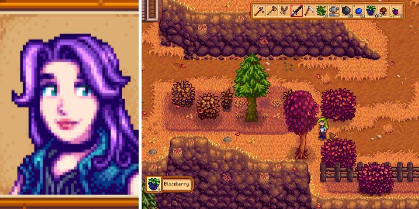 Stardew Valley Abigail Free Vacation Question Reddit