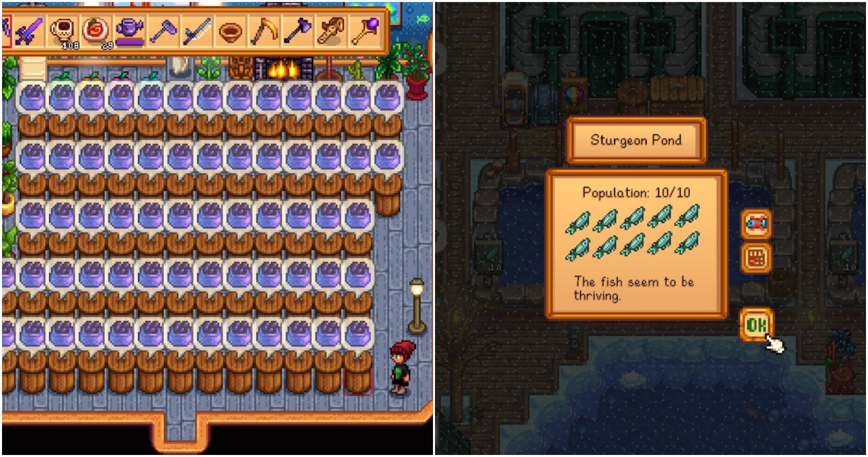 Stardew Valley Bundles Guide part 3: Fish Tank