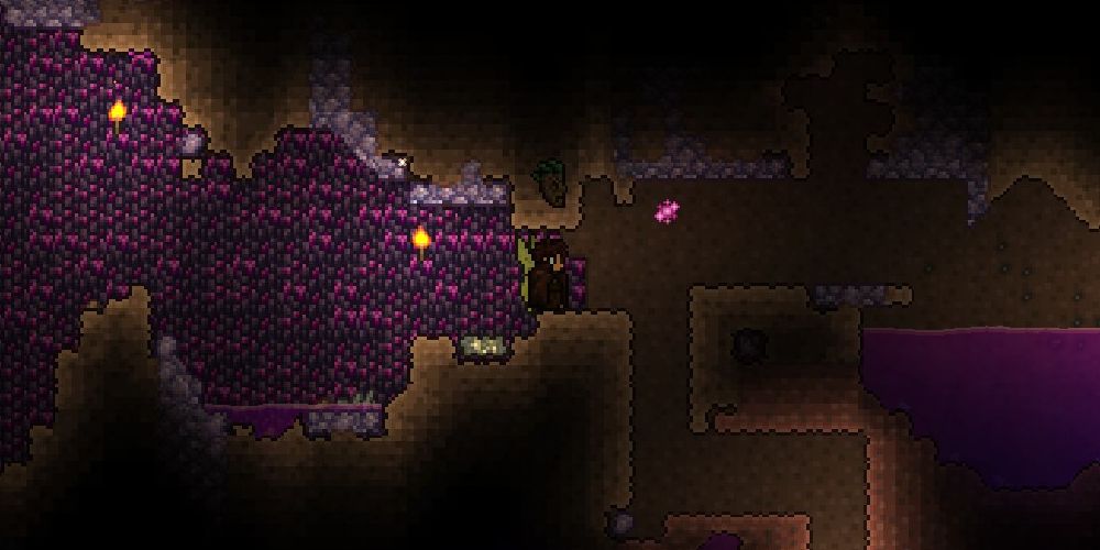 Terraria How To Get The Pet Fairy