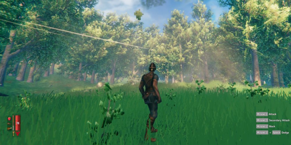 Valheim meadow