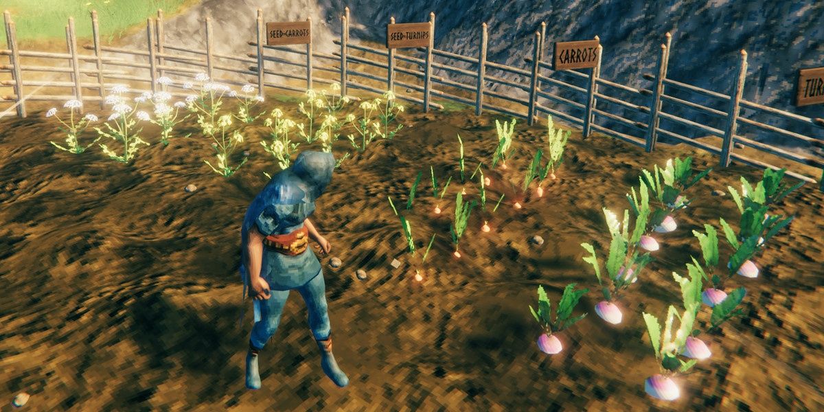 seeds and food growing in valheim