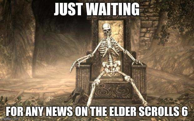Waiting for elder scrolls 6 meme