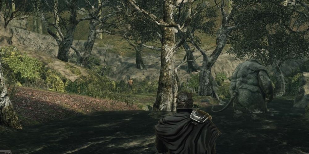 Dark Souls Giant Forest