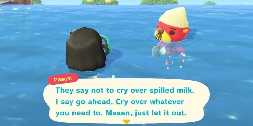 Animal Crossing New Horizons Pascal telling the player it is okay to cry