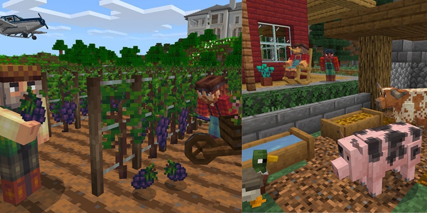 Players picking grapes and a duck, pig and cow together in the Minecraft Farm Life map