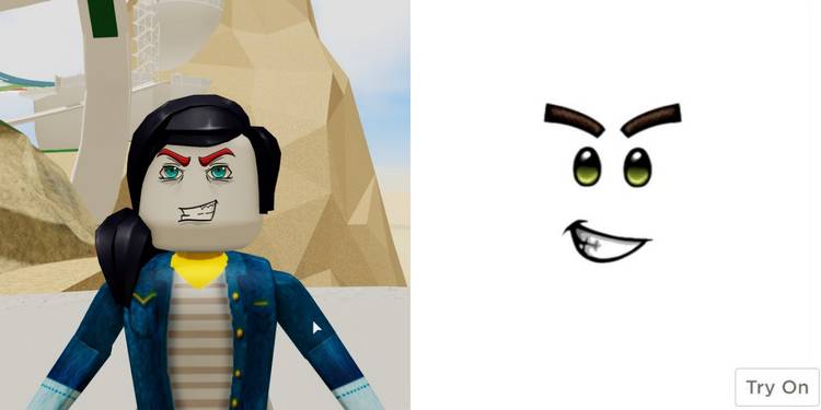 Roblox All Of The Free Faces In The Catalog - roblox classic face