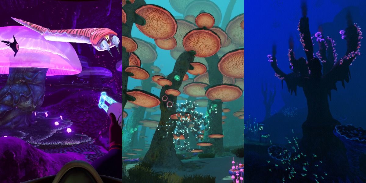 Different Biomes from Subnautica