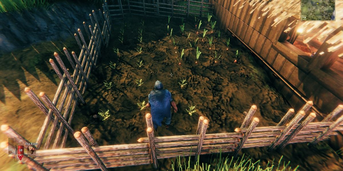 building a fence around your crop