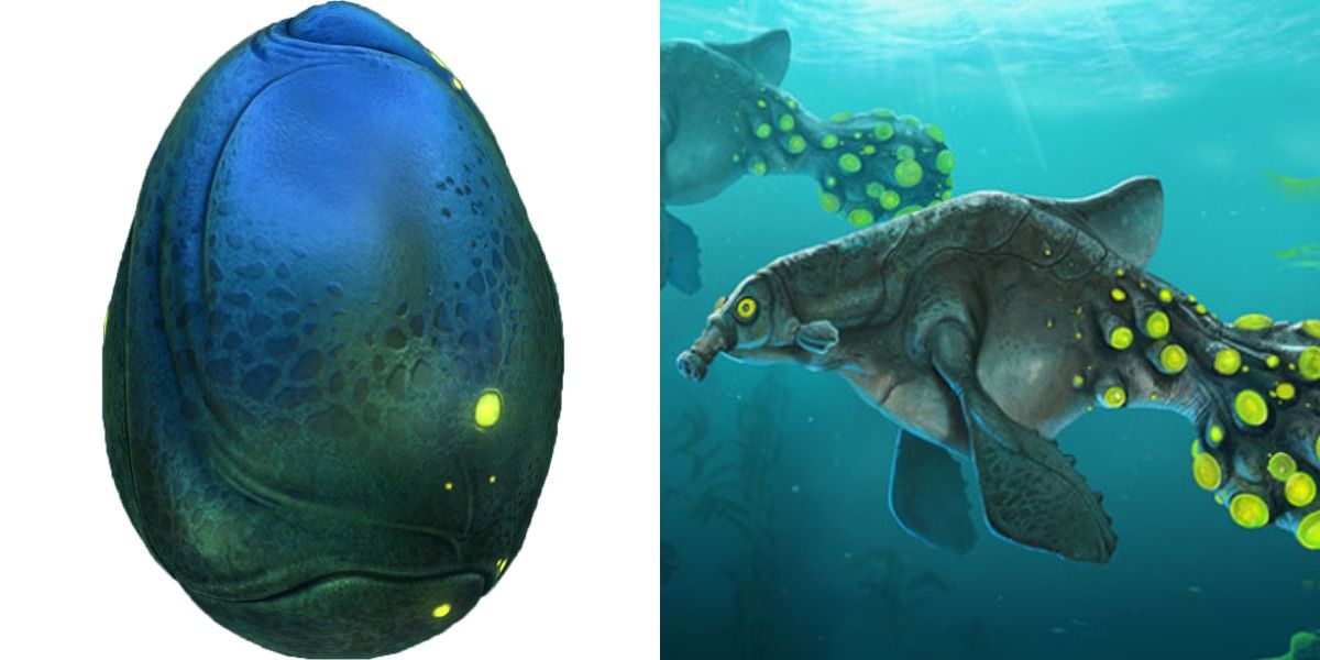Every Creature Egg And Where To Find Them In Subnautica