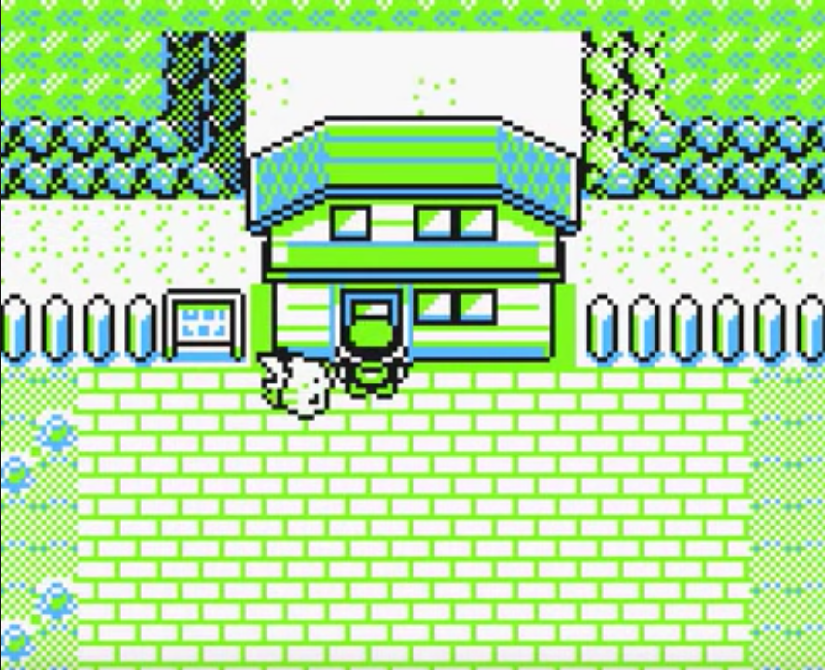 Pokemon BIll's House