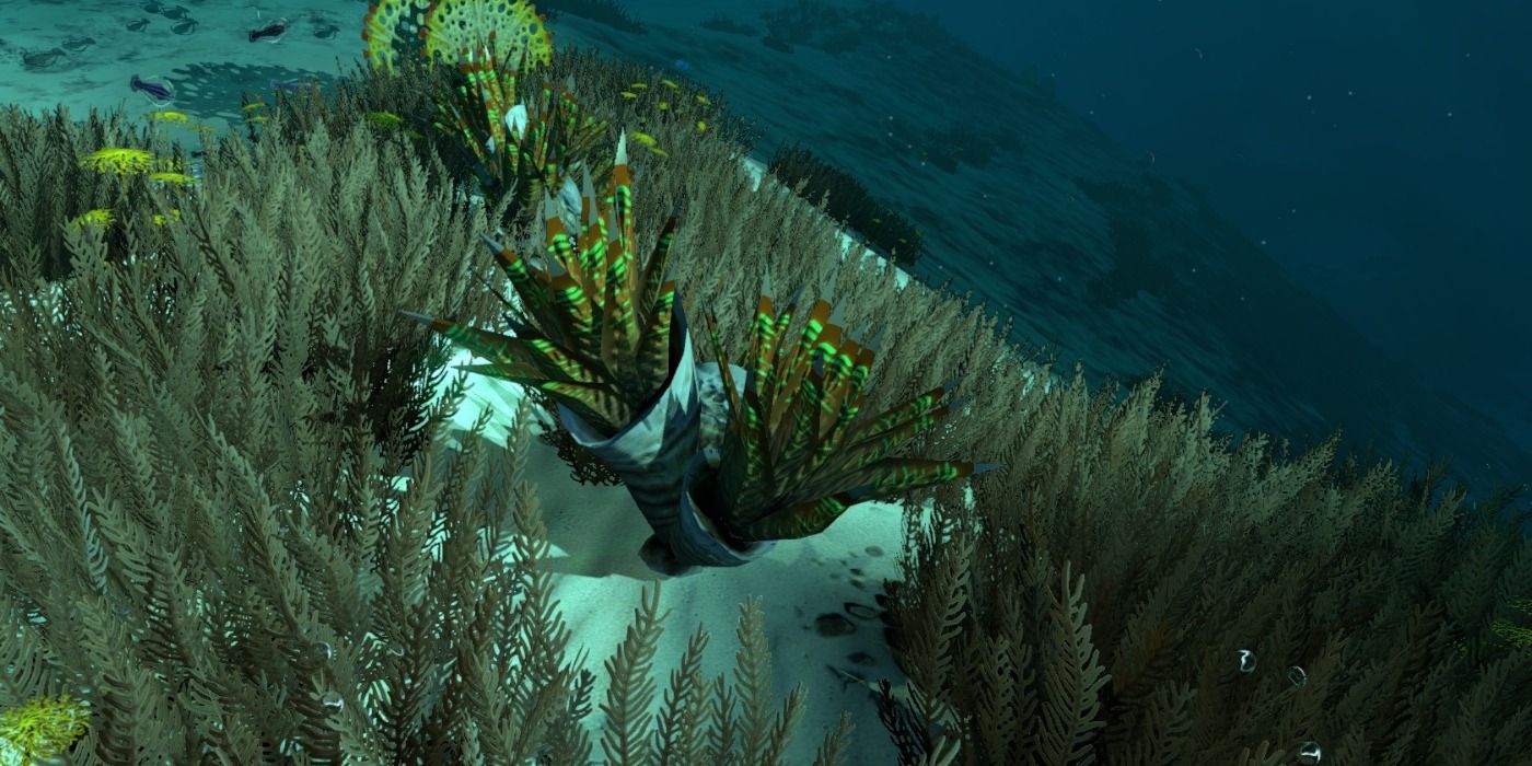 Subnautica: All Of The Growable Plants (And What They Give You)