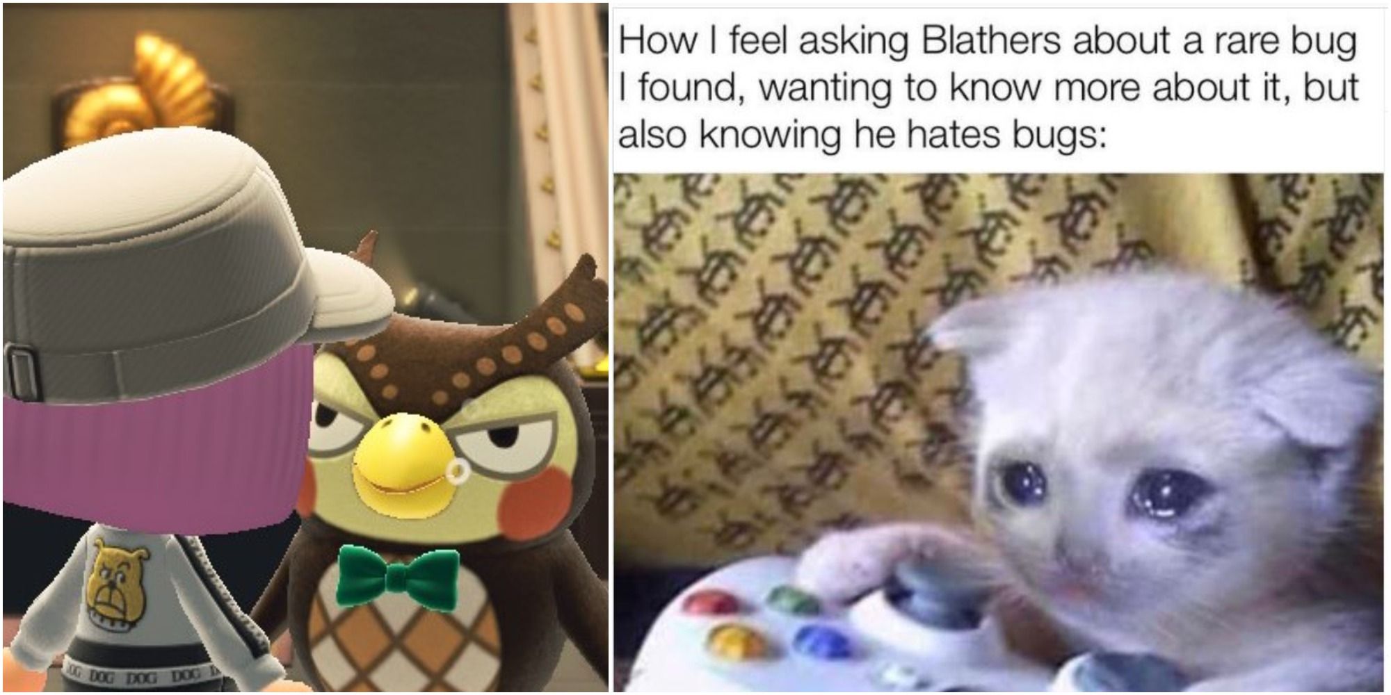 10 Hysterical Animal Crossing Blathers Memes