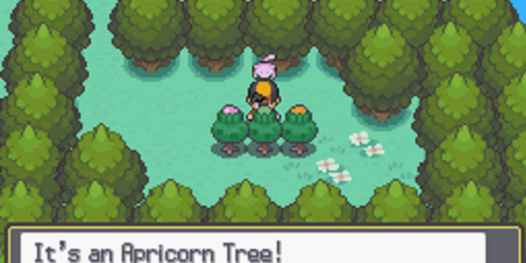 Apricorns Represent The Best Of Pokemon And They Need To Come Back