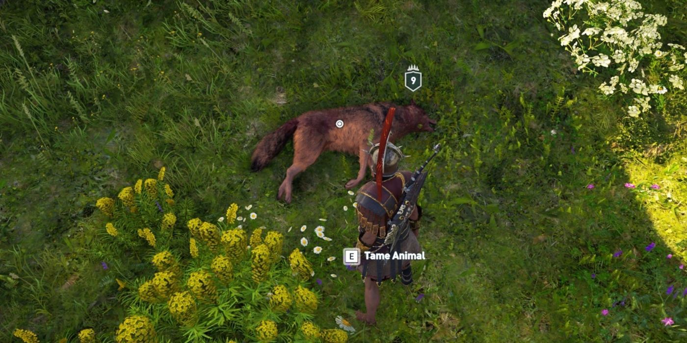Assassin's Creed Odyssey Animal Taming