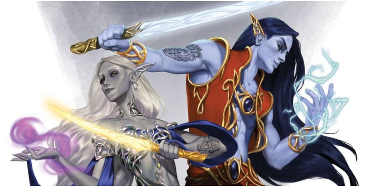 Bladesingers from Tasha's Cauldron of Everything by Wizards of the Coast