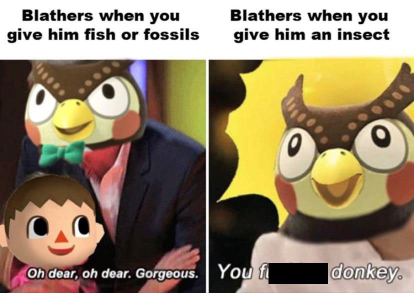 Blathers Is Not Happy Animal Crossing Bug Gordon Ramsey Meme