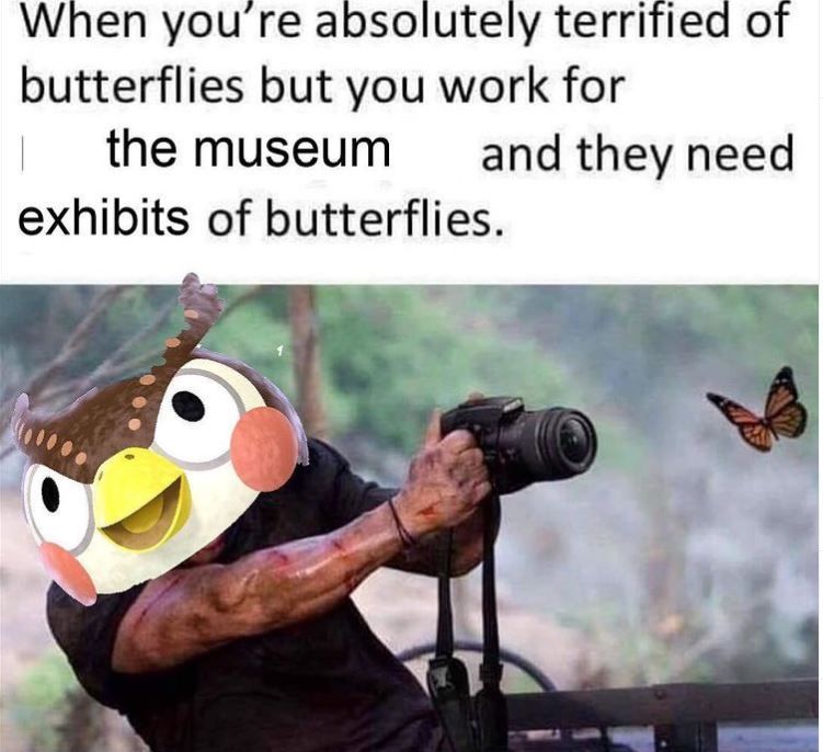 Blathers Scared Of Butterflies Animal Crossing Meme