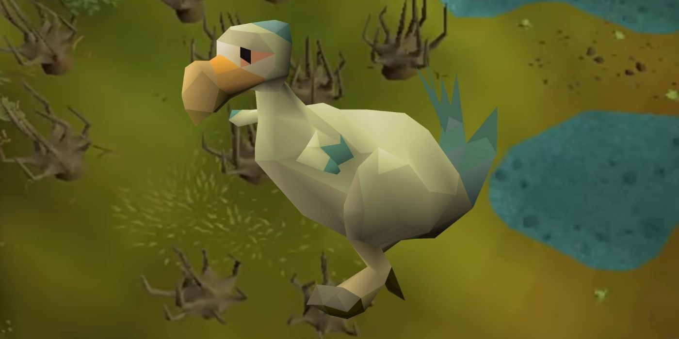 Old School RuneScape The 10 Easiest Pets To Obtain