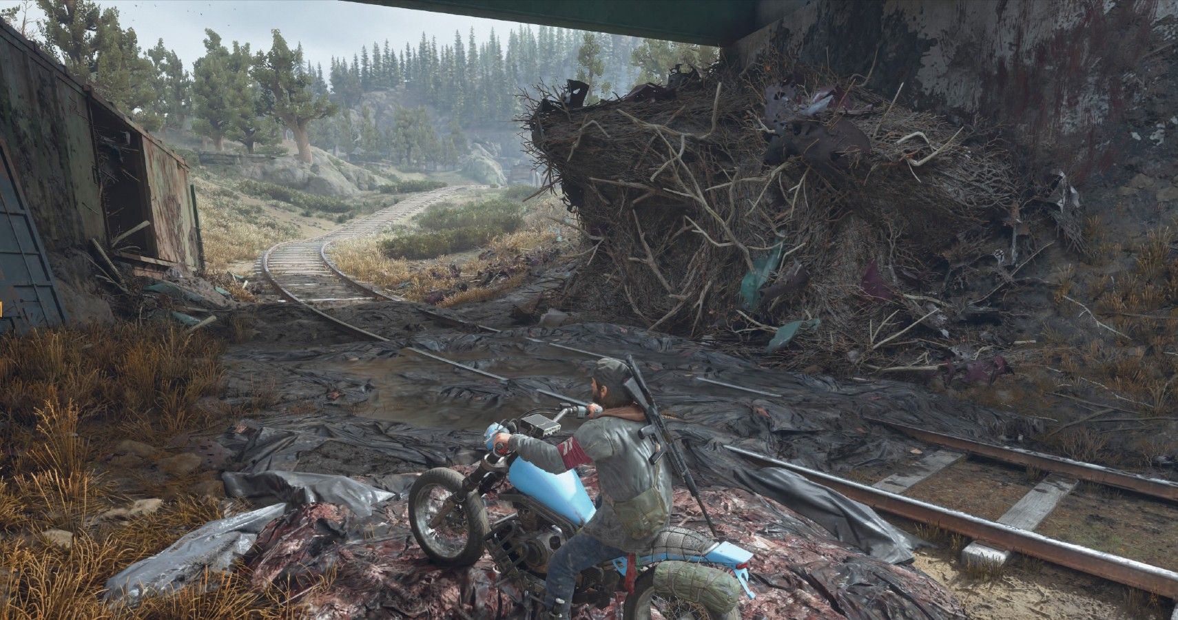 Days Gone Cascade Lakes Rail Line Infestation Guide