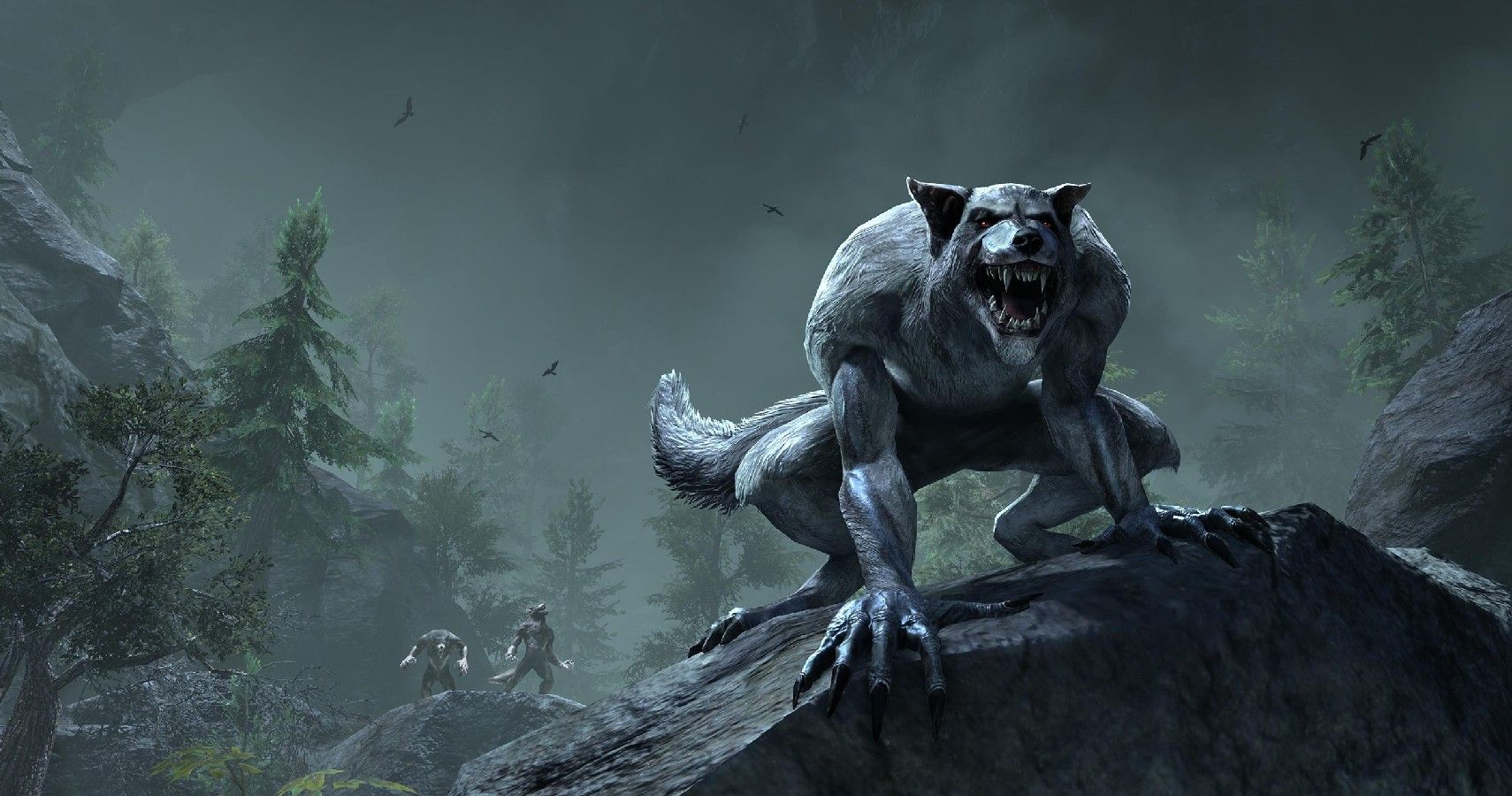 The Elder Scrolls Online: How To Become A Werewolf, And Is It Worth It?