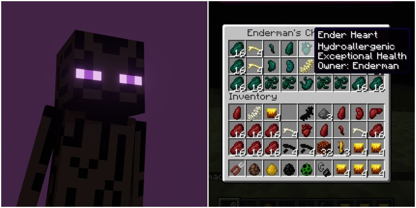 Minecraft Everything You Need To Know About The Surgery Mod