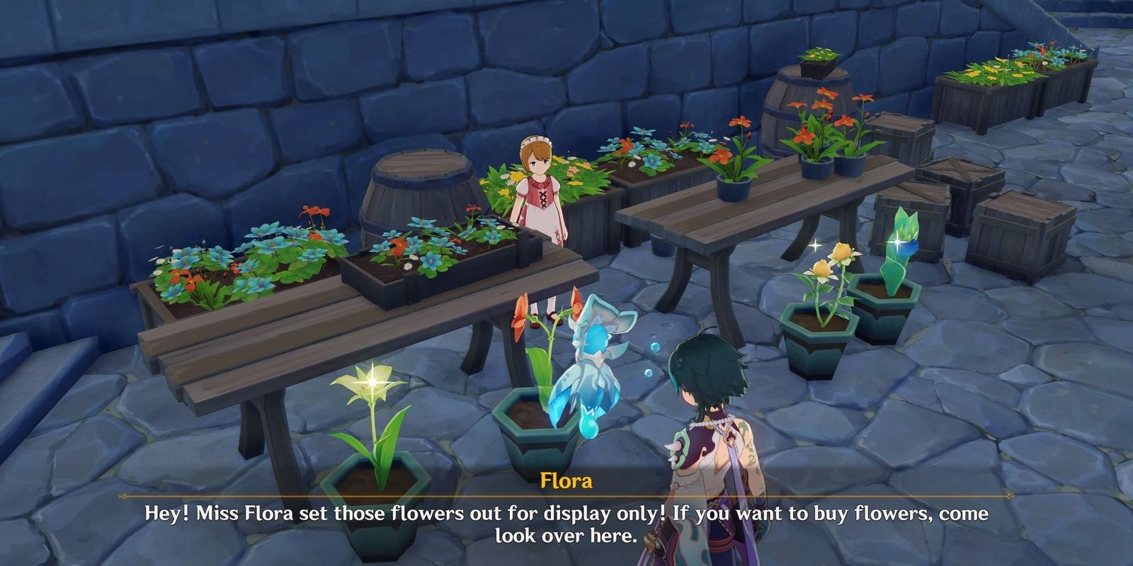 Talking to Flora in game