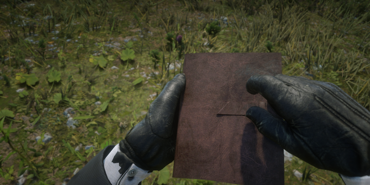 Arthur Morgan’s Journal Is My Favourite Thing About Red Dead Redemption 2