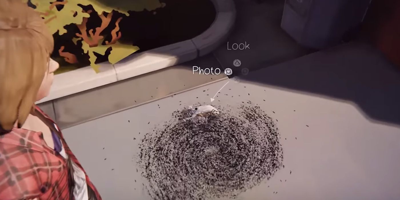 Life Is Strange Screenshot Of Bird Covered In Ants