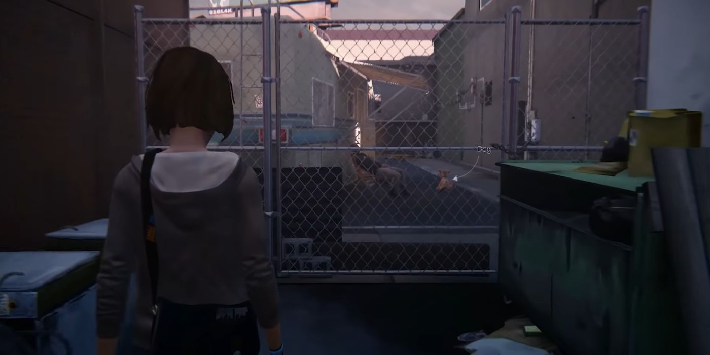 Life Is Strange Screenshot Of Max Looking At Dog Through Fence