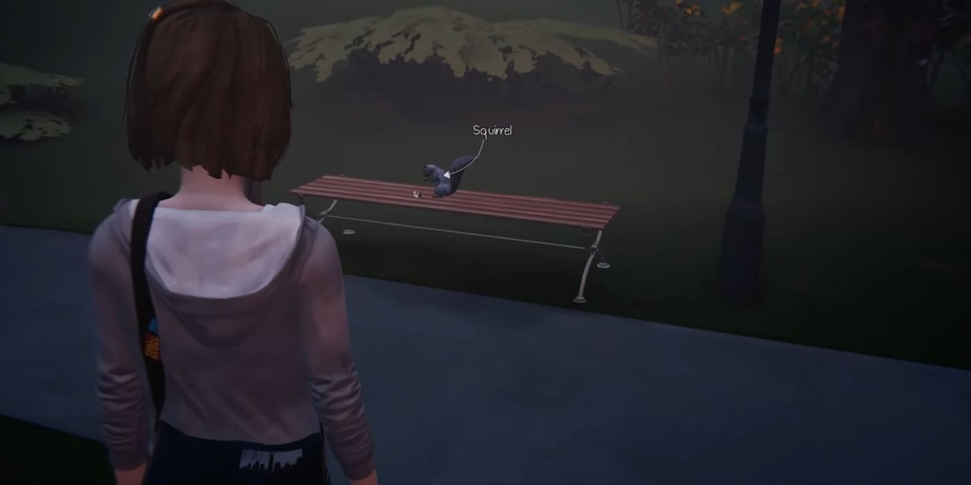 Life Is Strange Screenshot Of Max Looking At Squirrel Sitting On Bench