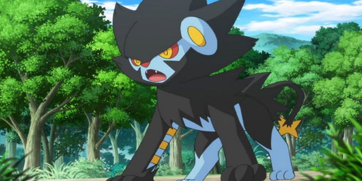 Luxray Pokemon Battle Anime