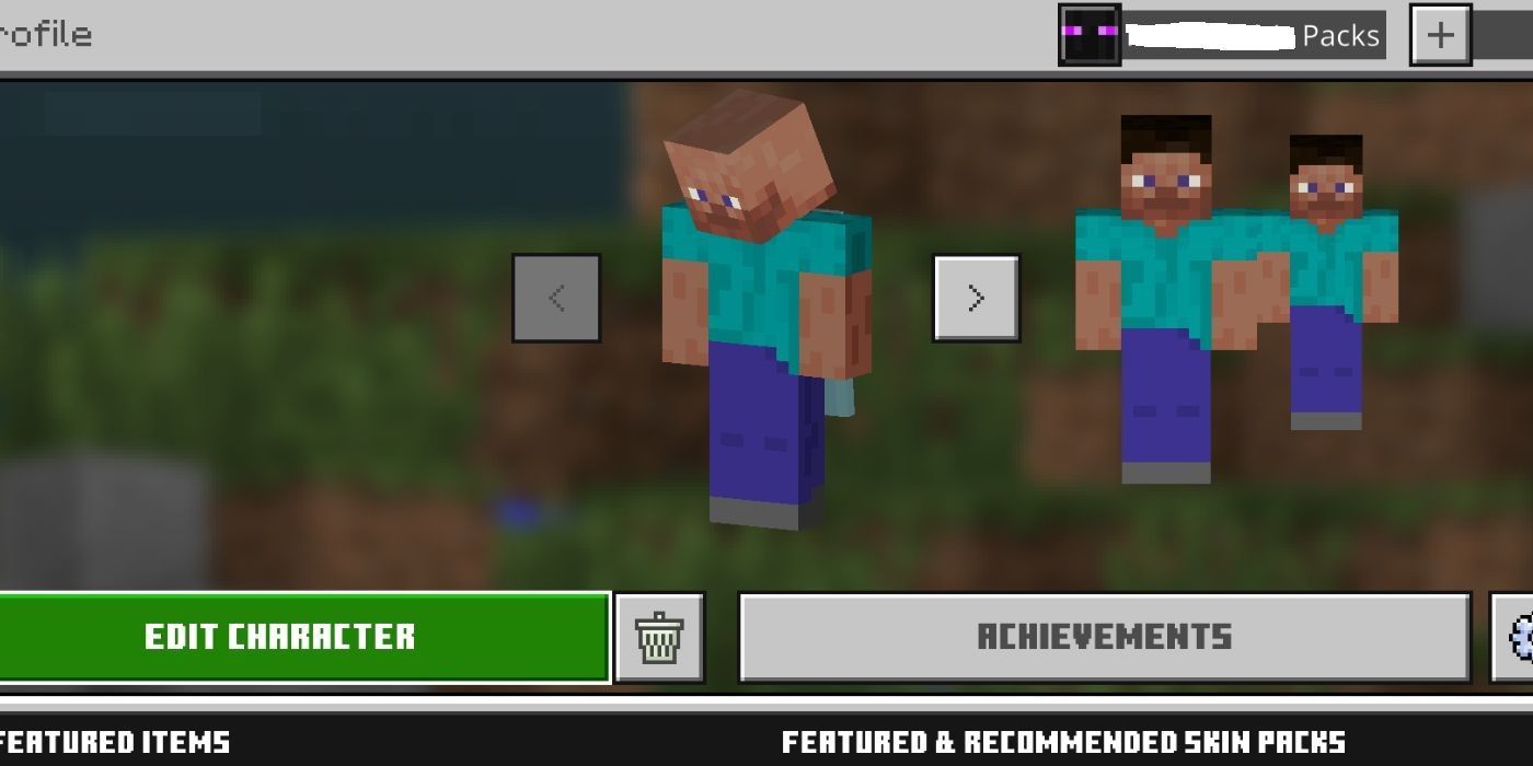 Minecraft bedrock edit character screen