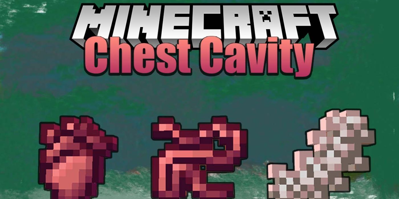 Minecraft Chest Cavity Surgery Mod logo