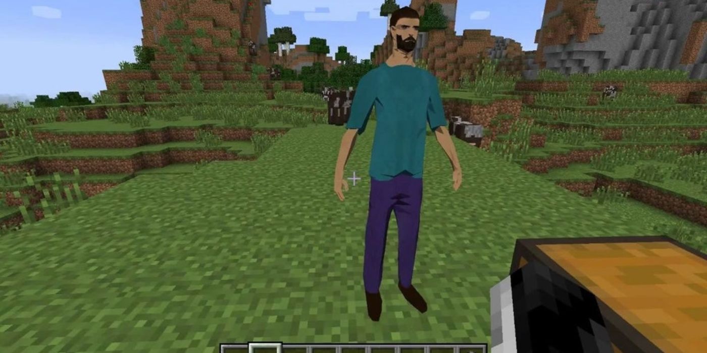 Minecraft Cursed Realistic Steve