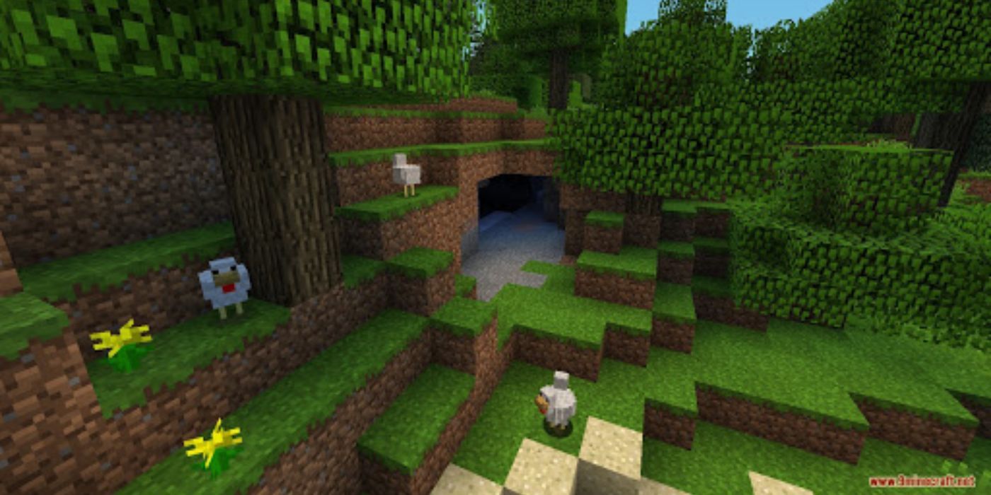 Minecraft Forest View