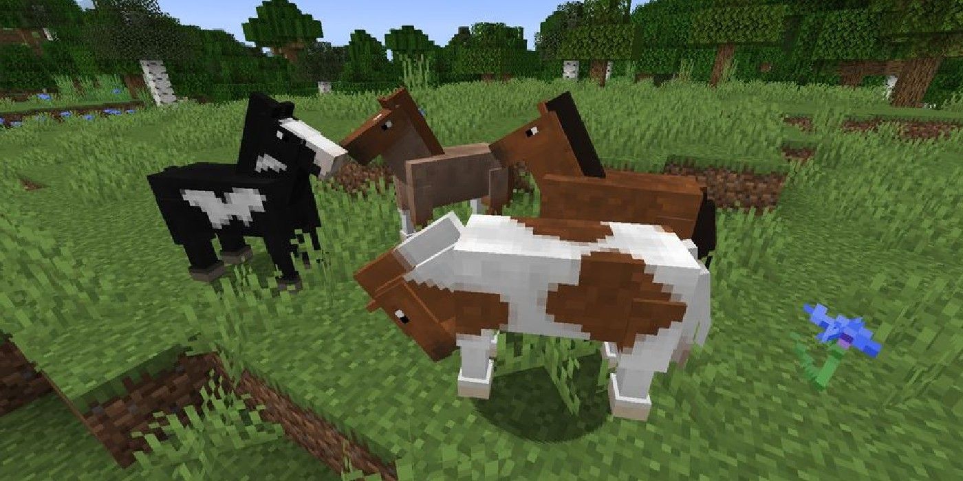 minecraft group of horses