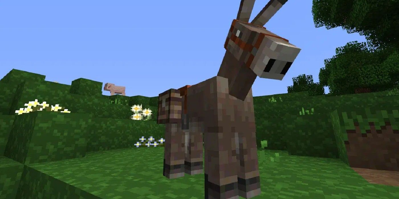 donkey in minecraft with chests