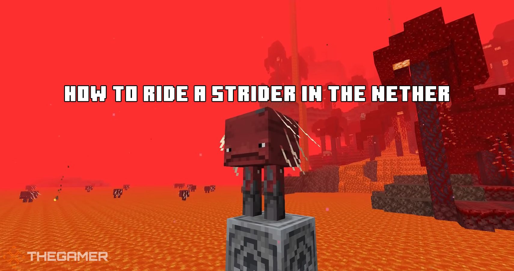 how to ride minecraft strider